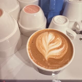 The Coffee Dispatch — specialty coffee editorial from The Station, Salzburg